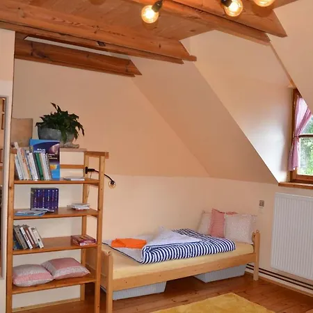 Domlejna Apartment *