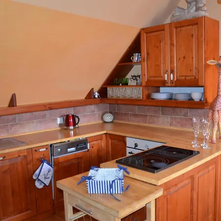 Domlejna Apartment *