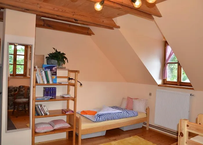 Domlejna Apartment *